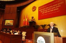 Erudito japonés evalúa identidad de “diplomacia de bambú” de Vietnam