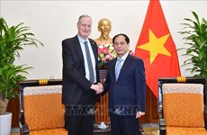 Vietnam concede importancia a lazos con Israel, destaca canciller