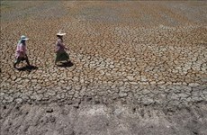Tailandia registrará menos precipitaciones el próximo año debido a El Niño