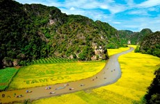 Suspenden de manera temporal actividades turísticas en Tam Coc-Bich Dong