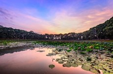 Delta del Mekong reconoce otros dos destinos turísticos típicos