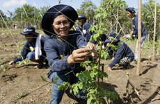 Filipinas y BM firman acuerdo para modernización de la agricultura