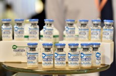 Empresas vietnamitas listas para exportar vacunas de peste porcina africana