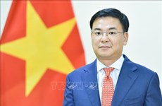 Japón desea robustecer cooperación multifacética con Vietnam, según emperador