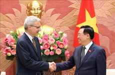 Vietnam aspira a consolidar asociación estratégica con Francia