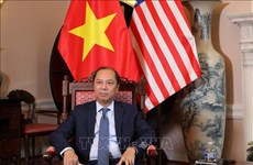 Embajador destaca potencialidades de cooperación entre Vietnam y EE.UU.