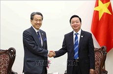 Vietnam y Japón intensifican cooperación en transición energética