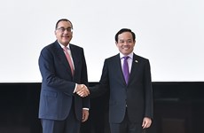 Proponen estudiar posibilidad de negociaciones sobre TLC entre Vietnam y Egipto