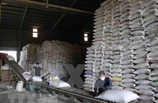 Filipinas busca aumentar sus reservas de arroz