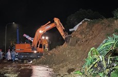 Instan a remediar consecuencias por deslizamientos de tierra en Lam Dong