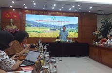 Proponen establecer una asociación empresarial agrícola Vietnam - EAU