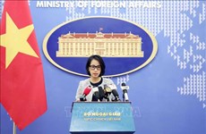 Vietnam condena el desgarro de la bandera nacional vietnamita en Filipinas