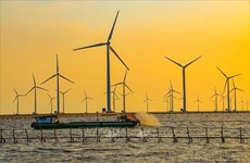 Vietnam por estimular producción de energía renovable