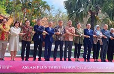 Vietnam participa en reunión de altos funcionarios de la ASEAN
