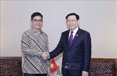 Presidente del Parlamento aboga por fortalecer cooperación económica con Indonesia