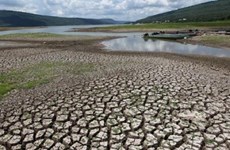 Adaptación al cambio climático en Vietnam requiere fondo multimillonario