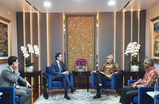 Ministerios de Relaciones Exteriores de Vietnam e Indonesia forjan cooperación