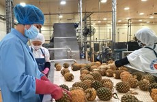 Austria es mercado prometedor para frutas vietnamitas, califican expertos