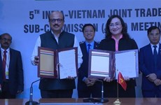 Celebran quinta reunión de Subcomité Mixto de Comercio Vietnam- India 