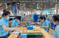 Vietnam aumentará salario mínimo regional en 2024