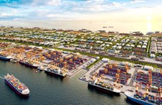 Ciudades vietnamita y china comparten experiencia en gestión portuaria y logística