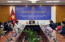 Embajador destaca perpectivas de cooperación entre Vietnam y Uruguay