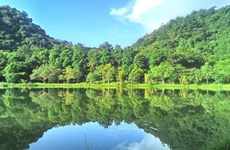 Cuc Phuong premiado por quinta vez como el parque nacional líder de Asia 