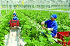 Vietnam promueve crédito verde para la agricultura