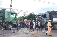 Inician proceso judicial contra camionero causante de grave accidente en Gia Lai