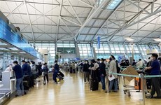 Corea del Sur mejora retraso de vuelos a Da Nang de Vietnam