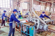 Empresas madereras vietnamitas intensifican promoción comercial