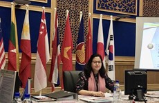 Vietnam se postulará para puesto de titular de Oficina Regional de OMS