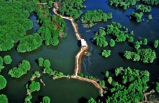 Nominan bosque de protección de Can Gio en lista de sitios Ramsar