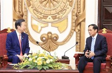 Vietnam considera a Japón un socio confiable y duradero, afirma canciller