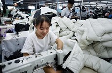 Vietnam y Corea del Sur fortalecen cooperación textil