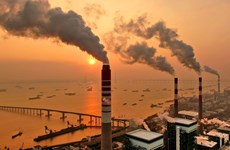 Vietnam impulsa el desarrollo del mercado de carbono 