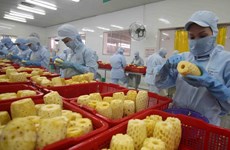Ventas de hortalizas y frutas de Vietnam se disparan con un aumento del 57,5%