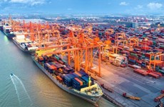 Puertos marítimos sureños de Vietnam siguen atrayendo capital extranjero