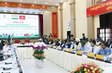 Agilizan conexión empresarial entre Altiplanicie Occidental de Vietnam y la India 