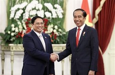 Premier vietnamita sostuvo encuentro con presidente indonesio