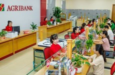 Vietnam se empeña en promover crédito verde