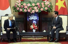 Presidente vietnamita recibe al titular de la Cámara de Consejeros de Japón