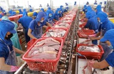 Aconsejan medidas para crecimiento de exportaciones acuícolas de Vietnam