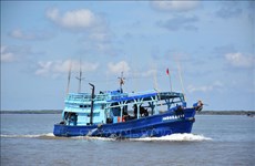 Provincia survietnamita de Bac Lieu aumenta lucha contra pesca ilegal