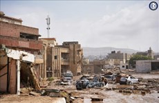 Vietnam expresa condolencias a Libia ante pérdidas causadas por el ciclón Daniel