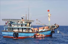 Destacan esfuerzos de provincia vietnamita de Phu Yen en lucha contra pesca ilegal