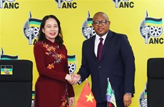 Vicepresidenta vietnamita cumple amplia agenda en Sudáfrica