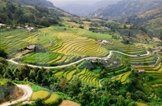 Programa de viajes promueve las terrazas del arroz de Hoang Su Phi