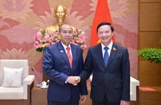 Vietnam y Laos refuerzan cooperación entre órganos legislativos
