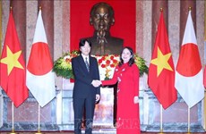 Vicepresidenta vietnamita dialoga con el príncipe heredero de Japón